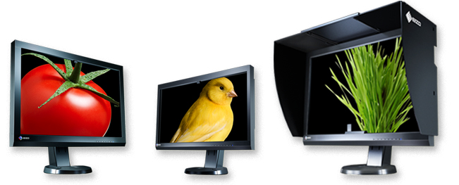 colormanagement.hu